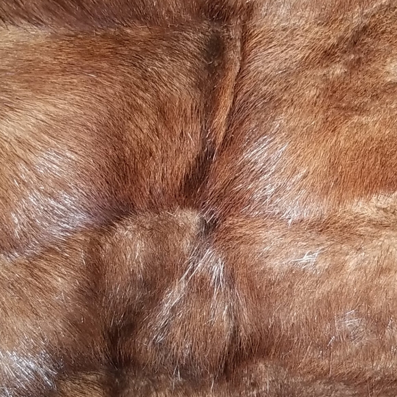 Evans- Vintage Mink Stole - Picture 5 of 11